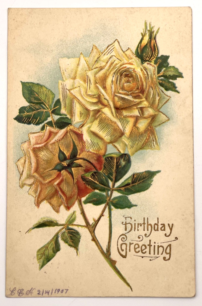 1907 Birthday Greeting Postcard Embossed Roses Mt Joy PA Cancel