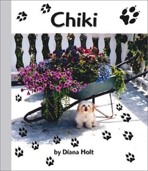 Chiki (Paperback or Softback)