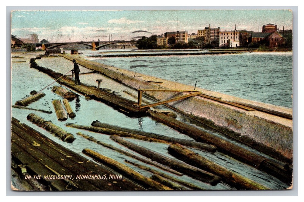 Minneapolis, Minnesota, Logs on the Mississippi River Postcard Posted 1908