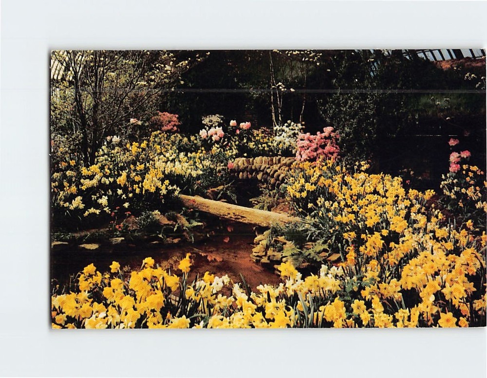 Postcard Phipps Conservatory Pittsburgh Pennsylvania