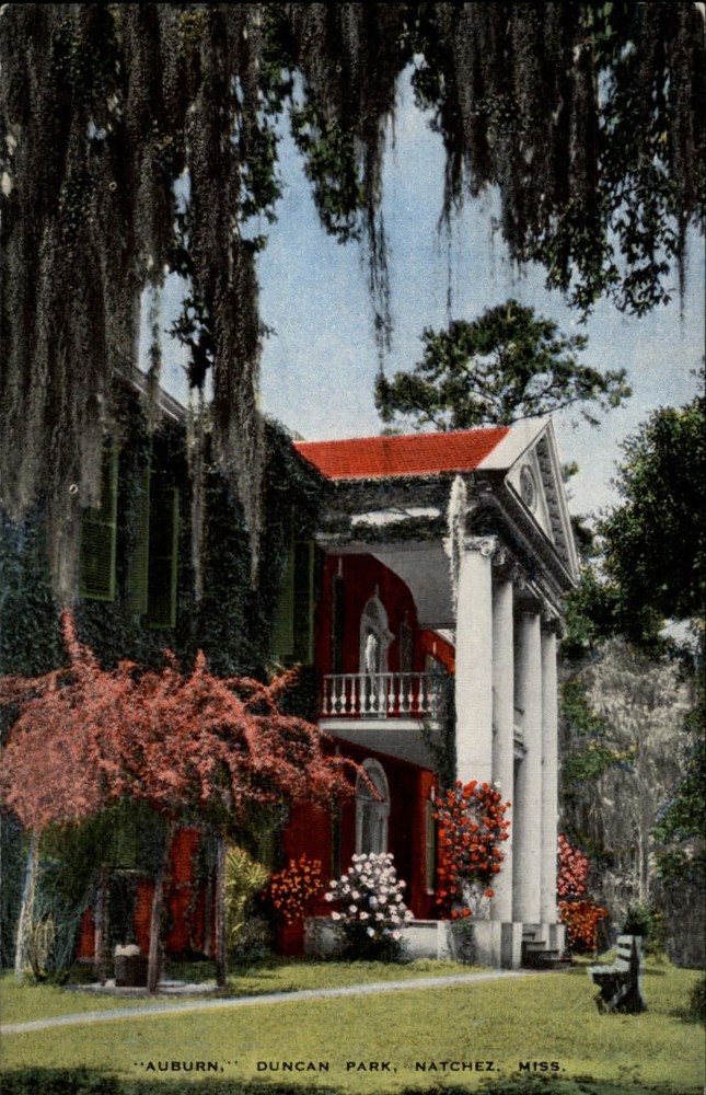 Auburn Duncan Park Natchez Mississippi Spanish moss ~ 1940s linen postcard