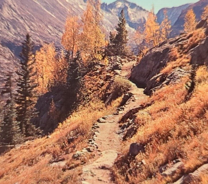 Long's Peak From Dream Lake Trail Rocky Mountain National Park Colorado Postcard