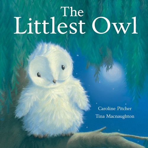 The Littlest Owl by Pitcher, Caroline Hardback Book The Fast Free ShippingFREE US DELIVERY | ISBN: 1845066219 | Quality Books