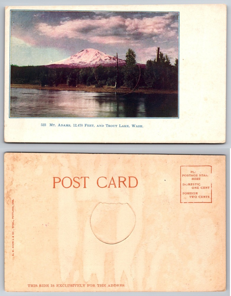 Mt Adams Trout Lake Washington Postcard
