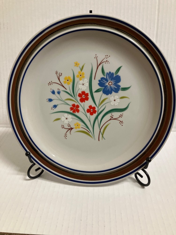 Salem Stoneware Georgetown Floral Dinner Plate 10 1/4