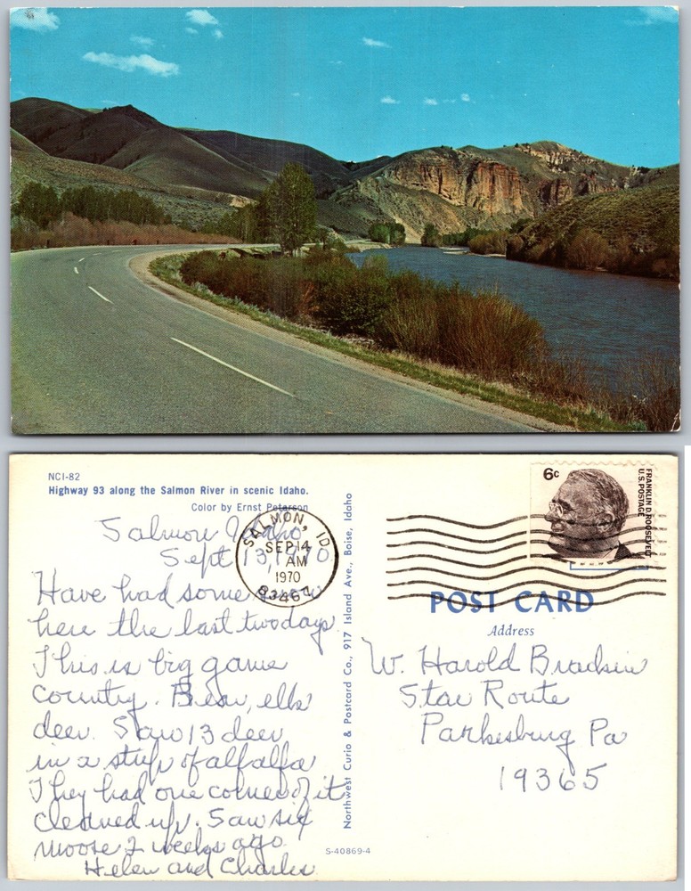 Highway 93 Salmon River Idaho Postcard