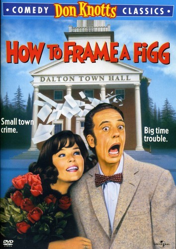 How to Frame a Figg [New DVD]