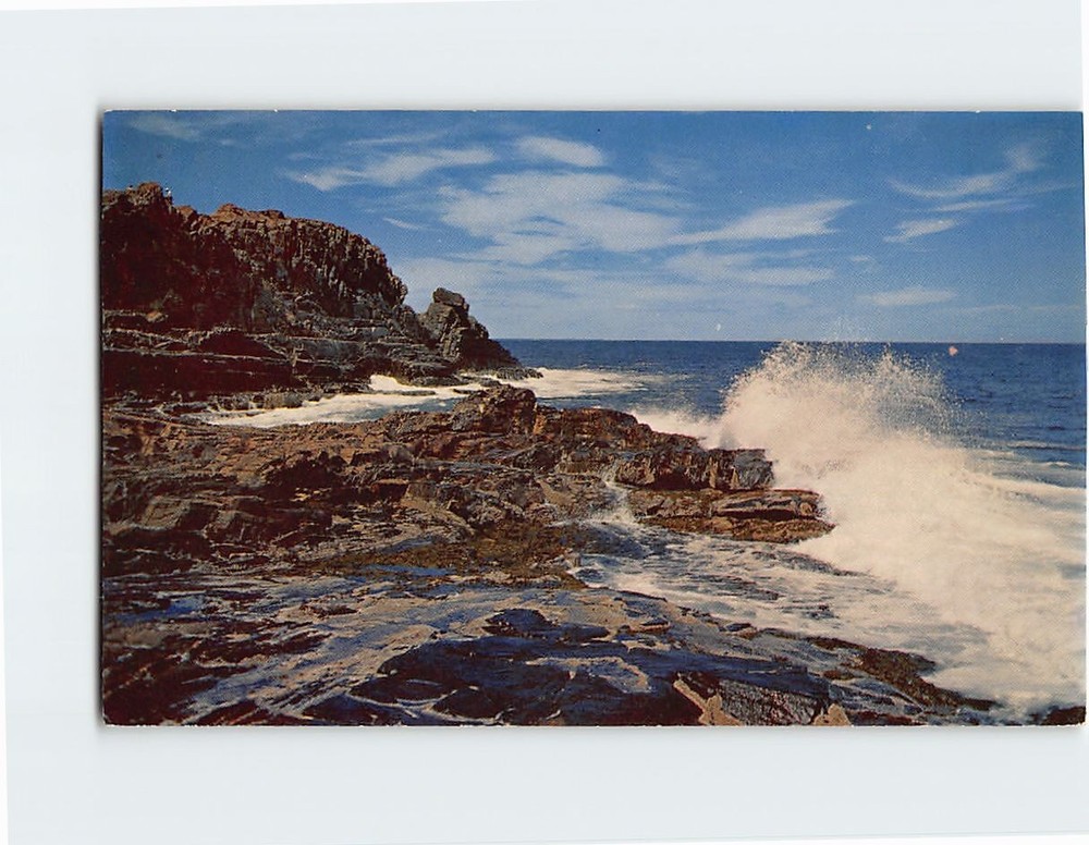 Postcard Bald Head Cliff, Ogunquit, Maine