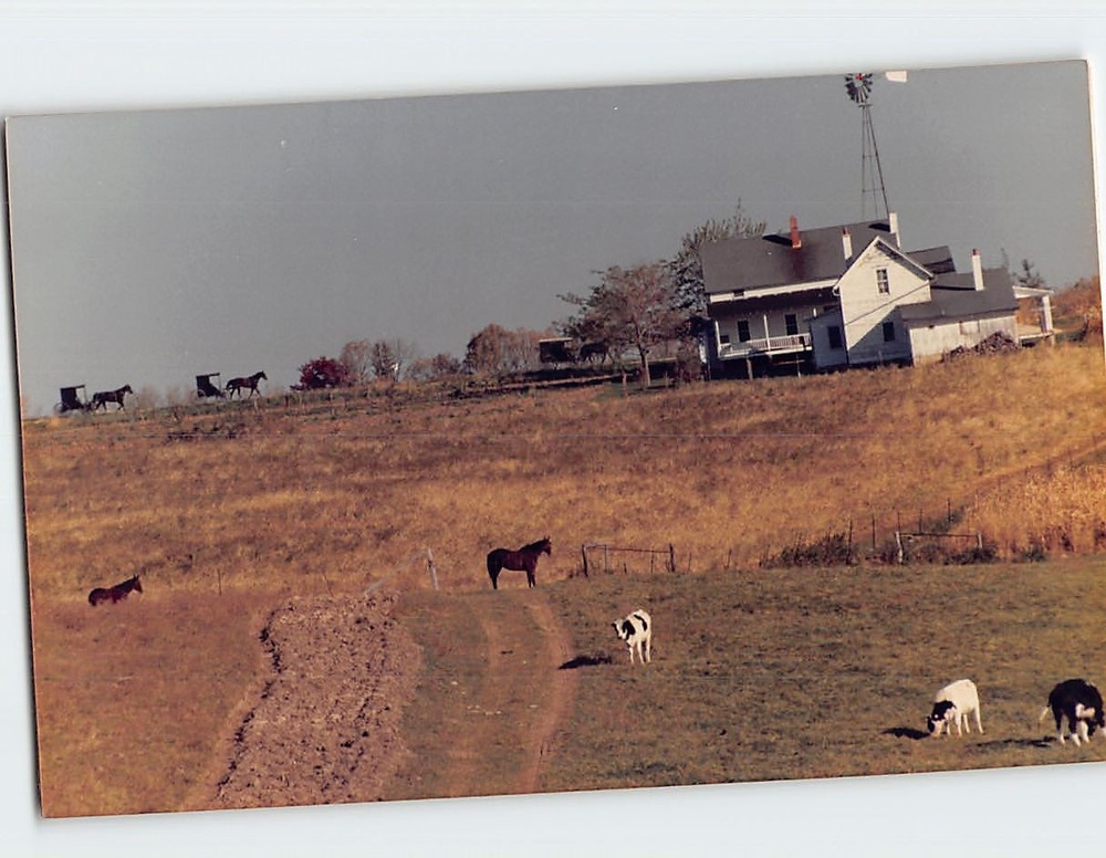 Postcard Countryside Farm Scene