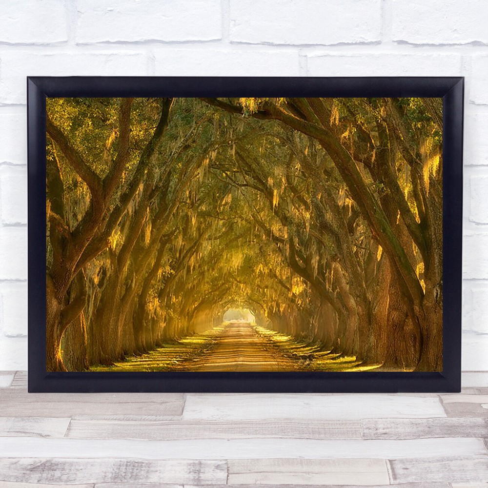 Sunlit Tree Tunnel Path Yellow Road Wall Art Print  