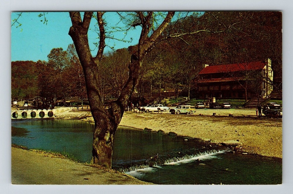 Cassville MO-Missouri, Scenic View The Lodge, River Park, Vintage Postcard