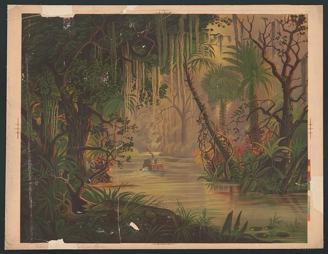 Photo:On the Ocklawaha