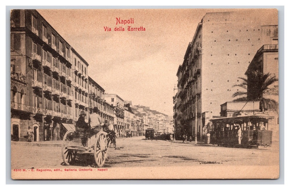 Vintage Early 1900s Horse And Buggy Torretta St Napoli Italy Undivided Back RPPC