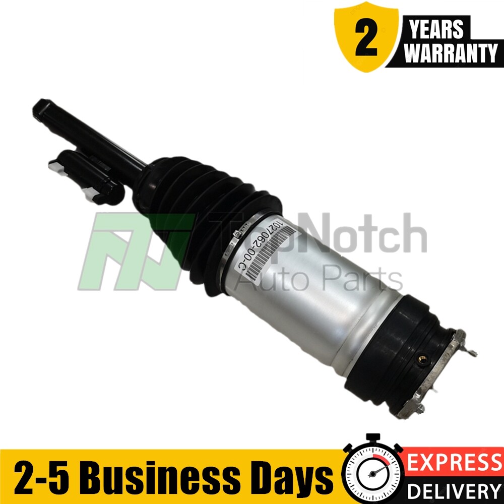 Tesla Model S Air Suspension Strut Rear Left 2016-2023