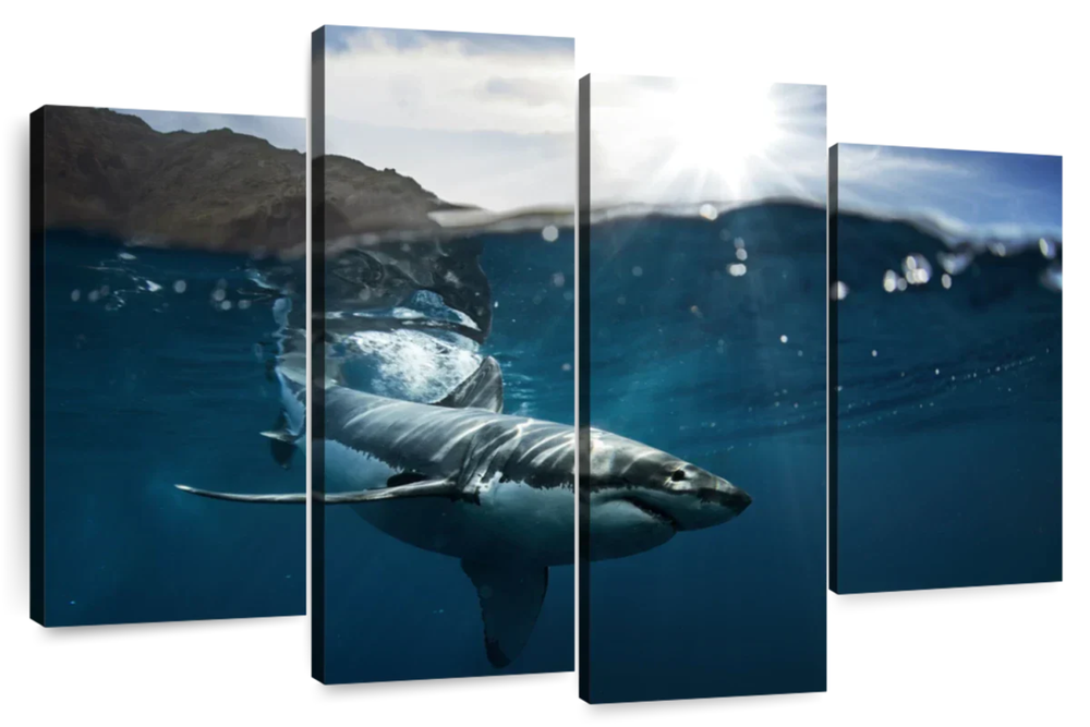 Shark Sunshine Wall Art
