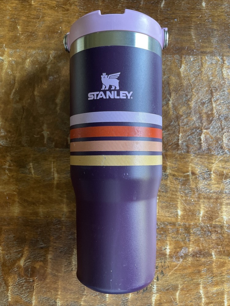 Stanley 30 oz. Plum Varsity IceFlow Tumbler with Flip Straw