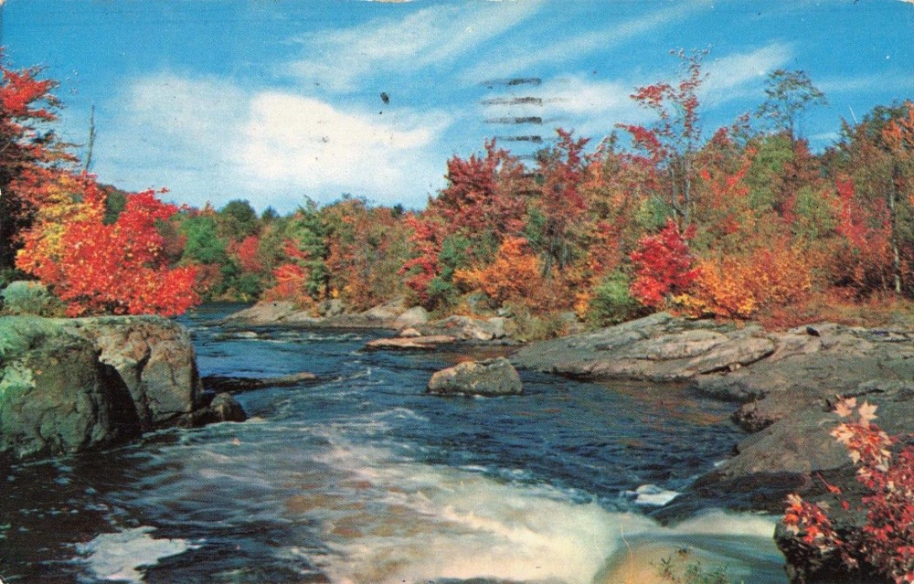 Mount Holly NJ New Jersey, Scenic Fall Country Woodland Stream, Vintage Postcard