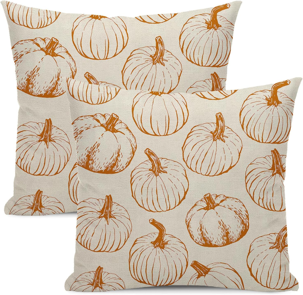 Set of 2 18x18 Burnt Orange Pumpkin Fall Pillow Covers for Autumn Decor