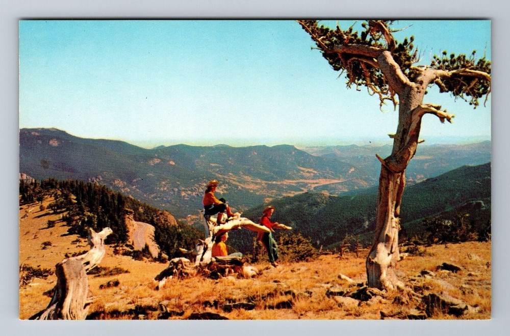 CO-Colorado, Above Timberline On Mt Evans Highway, Vintage Postcard