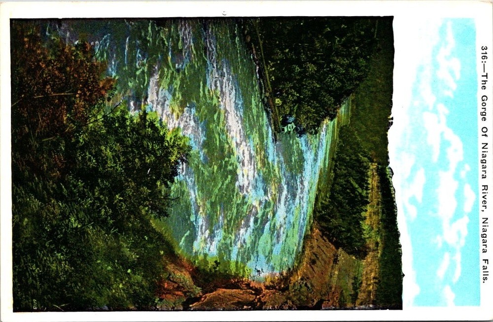 c1920 Gorge of the Niagara River Niagara Falls New York Vintage Postcard