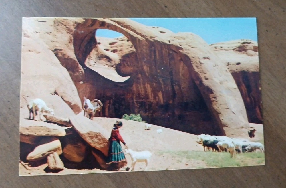 Navajo Shepherdess - Goats & Rock Formations  Arizona Chrome Lithograph Postcard