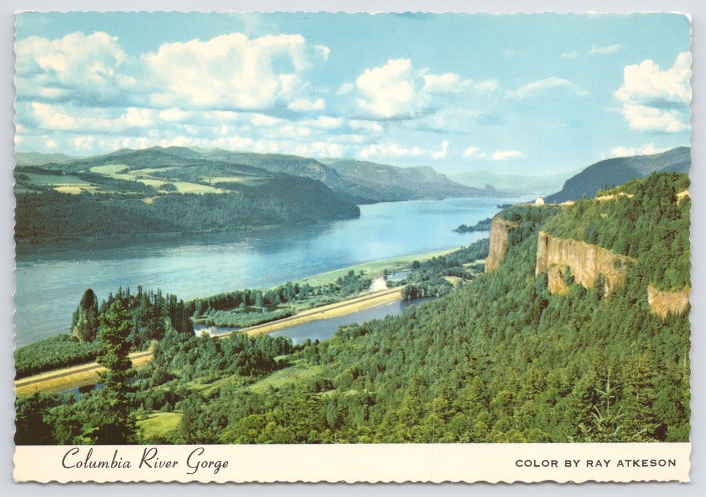Oregon~Air View Columbia River Gorge~Continental Postcard