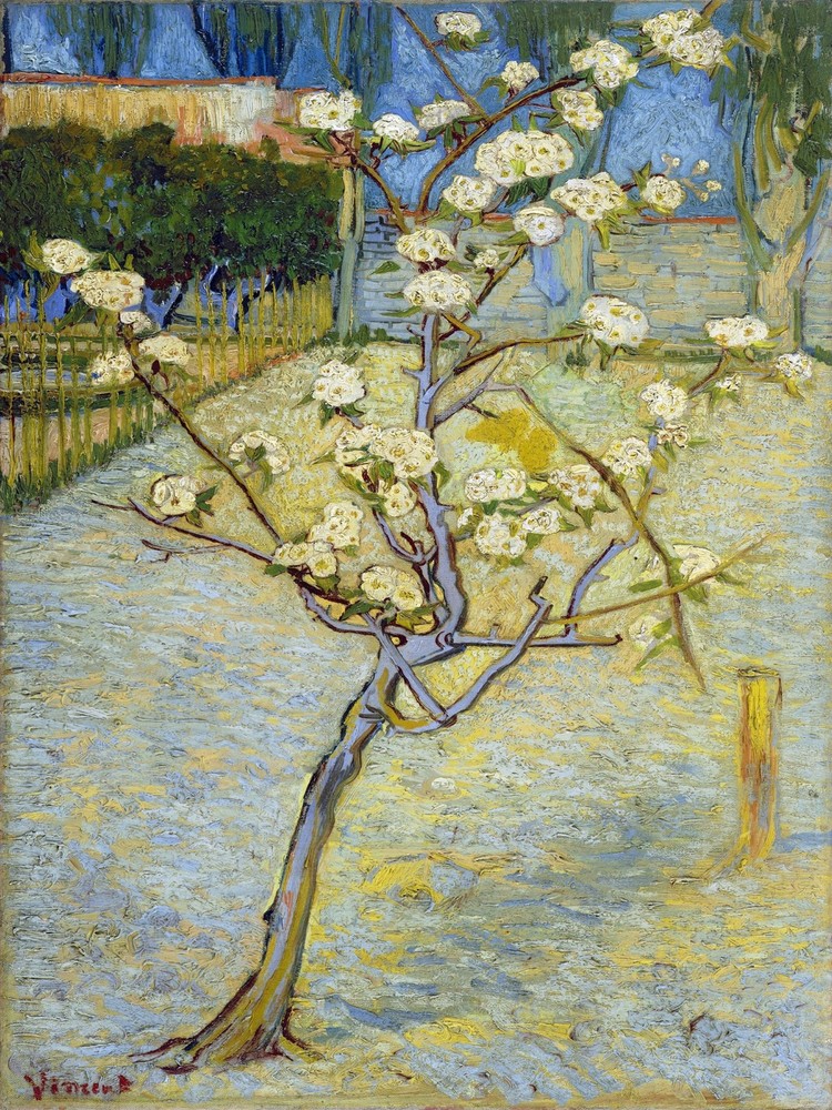 9409.Decoration Poster.Home Room wall design.Blosom tree by Van Gogh painting
