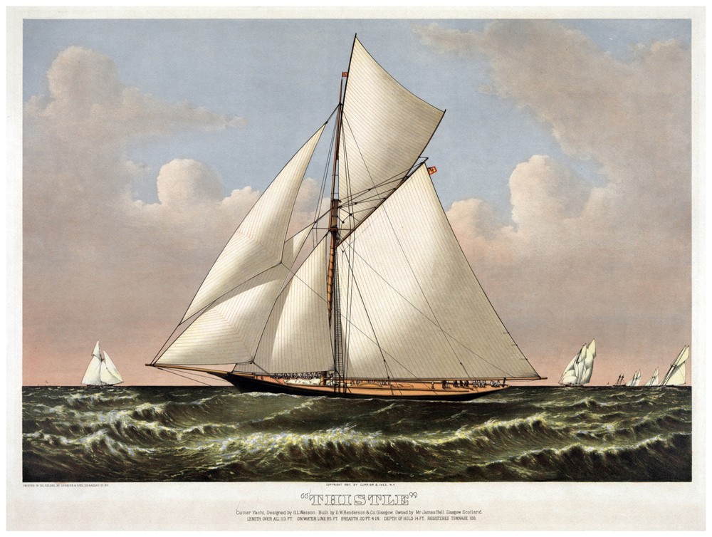 Decor Sea - Ocean Poster. Fine Graphic Art. Thistle. Home Wall Design. 1156