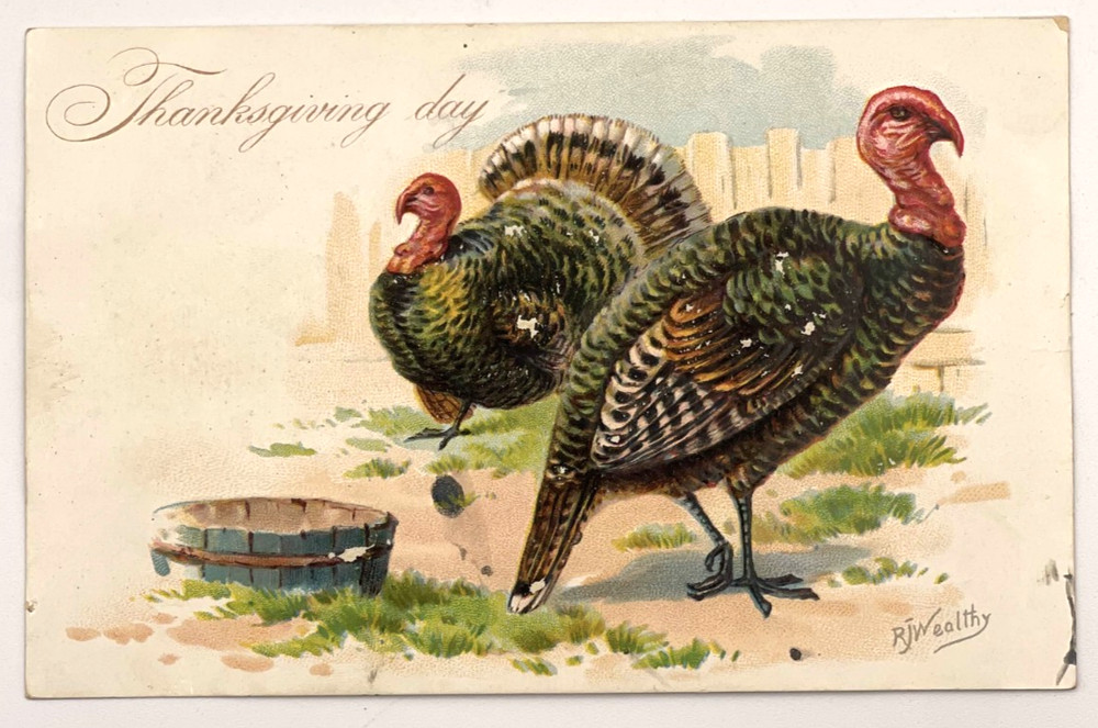 Thanksgiving Day Postcard 1907 Turkeys R J Wealthy Tuck Embossed