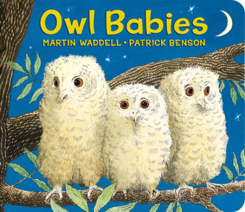 Owl Babies - Board book By Waddell, Martin - ACCEPTABLE