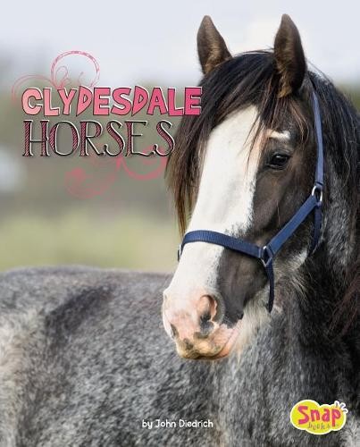 John Diedrich Clydesdale Horses (Paperback) Horse BreedsAnother great item from Rarewaves USA | Free delivery!