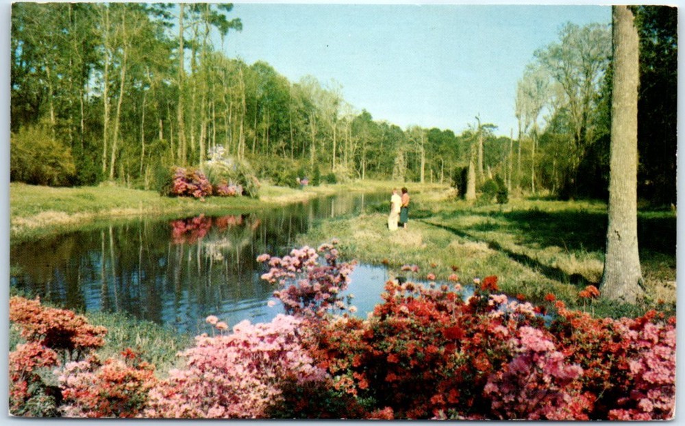 Postcard - Lagoon at Beauvoir, Jefferson Davis Shrine, Biloxi, Mississippi
