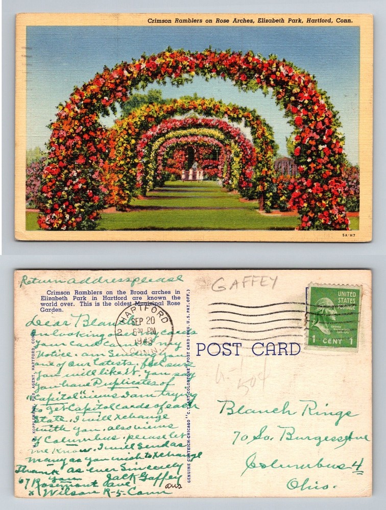 Hartford CT-Connecticut Crimson Ramblers Rose Arches Park Vintage c1943 Postcard