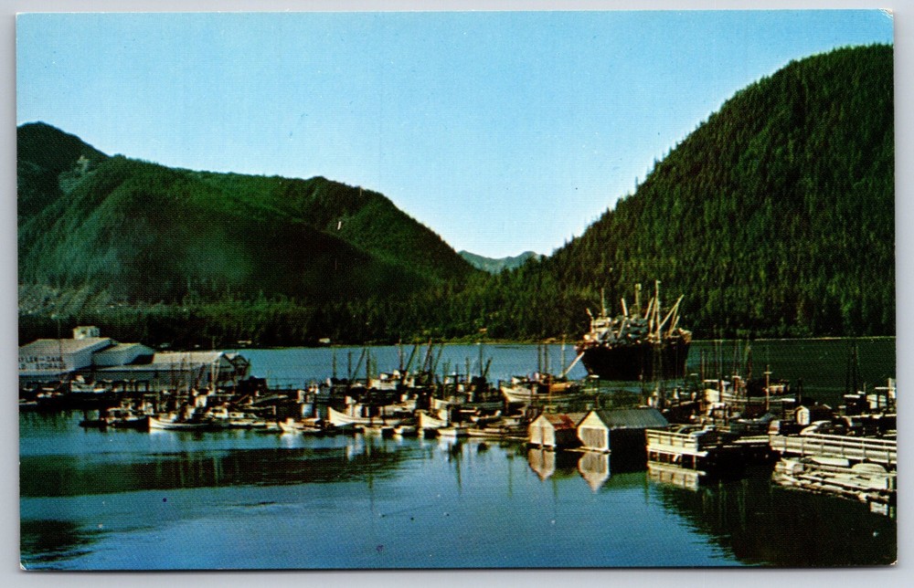 Petersburg Alaska~Harbor View W/ Ships & Mountains~Pub Johnston Co Vintage PC