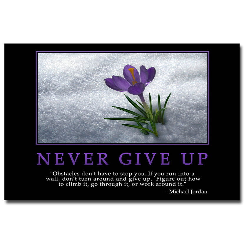Never Give Up Motivational Quote Wall Art Poster Print MO086 US
