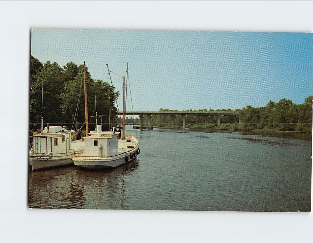Postcard Pocomoke River Pocomoke City Maryland USA
