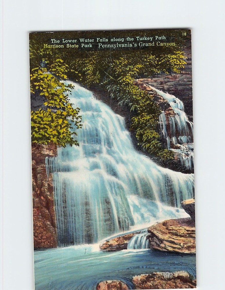 Postcard The Lower Water Falls along the Turkey Path Harrison State Park PA USA