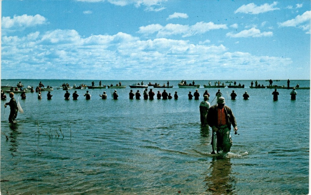 Lake Michigan, Michigan, Manistique, Upper Michigan Card Co. Postcard