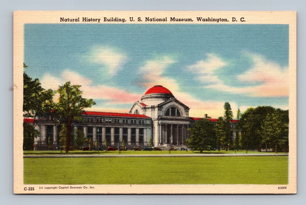 Vintage Natural History Building U.S. National Museum Washington DC Postcard