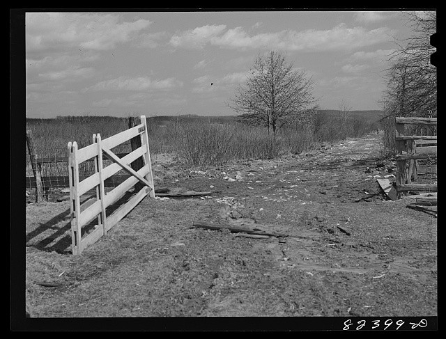 Honey Brook Pennsylvania 1942 FSA Amish tenant purchase swamp land clearing