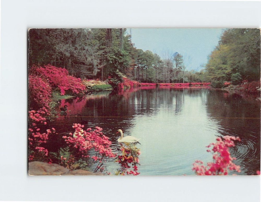 Postcard Scene in Bellingrath Gardens Mobile Alabama USA