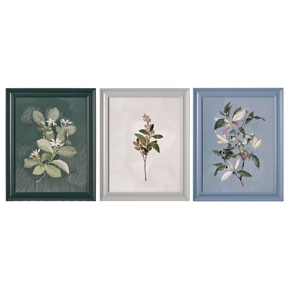 Beautiful by Drew Framed Vintage Botanical Color Block Set of 3 Art Prints