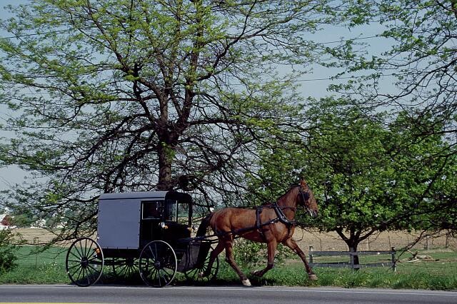 Photo:Lancaster Pennsylvania Amish Horse Buggy 1980s Rural Road