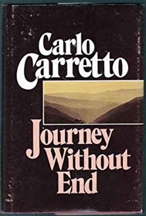 Endless Journey Hardcover by Carlo Carretto Inspirational Spiritual Read