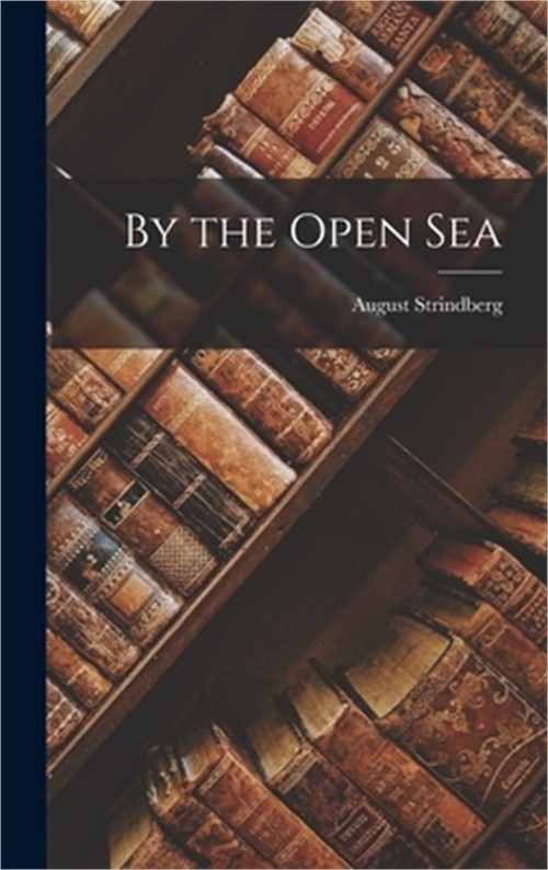 By the Open Sea (Hardback or Cased Book)