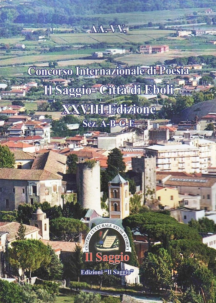 AA. VV. Concorso Internazionale di Poesia Il Saggio-Città di Eboli X (Paperback)Another great item from Rarewaves USA | Free delivery!