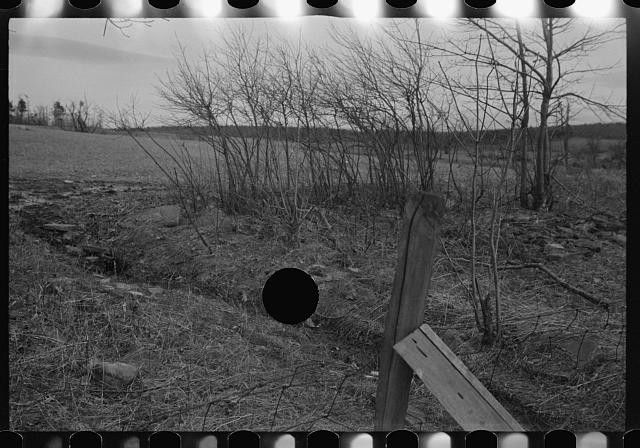 Photo:1930s Rural Field Landscape Black and White Photograph