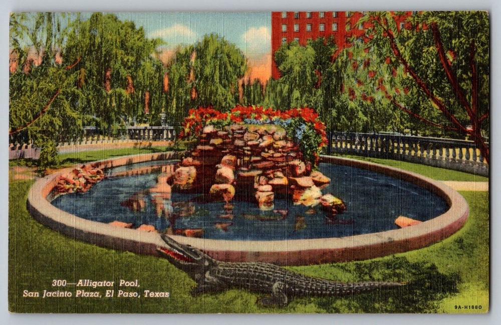 Postcard - Alligator Pool, San Jacinto Plaza, El Paso, Texas