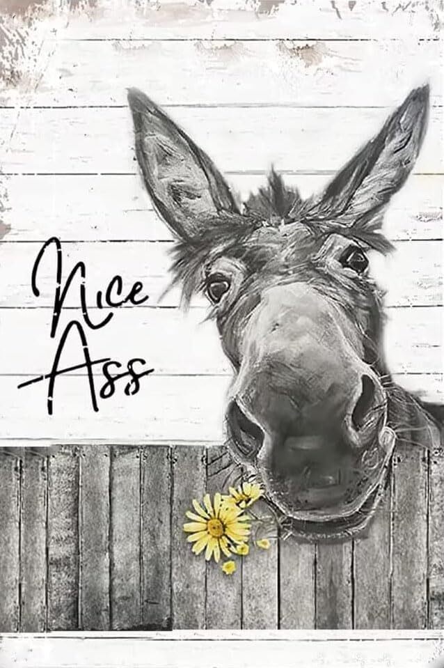 Funny Donkey Sunflower Bathroom Wall Art Metal Tin Sign Bathroom Wall Decor Nice