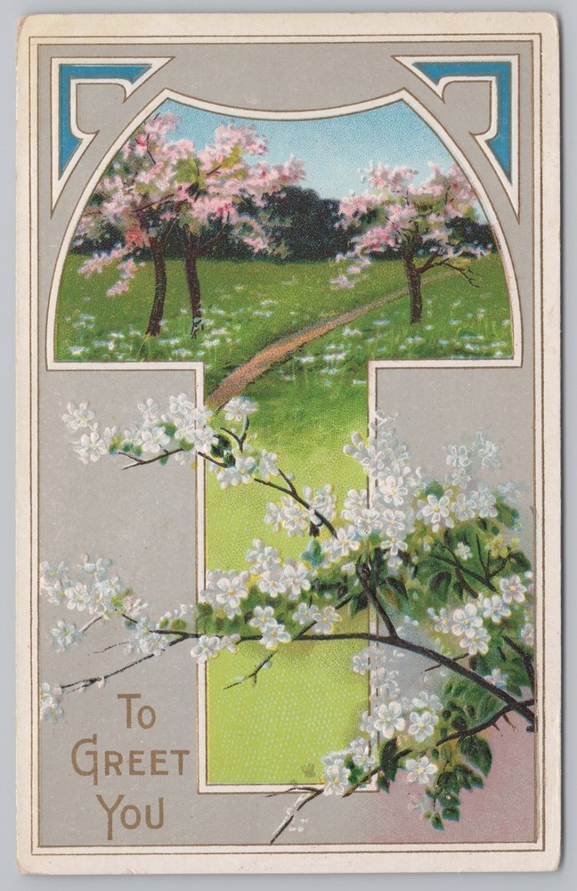 Greetings~White Flowers On Trees & Pink Flowering To Greet You~Vintage Postcard